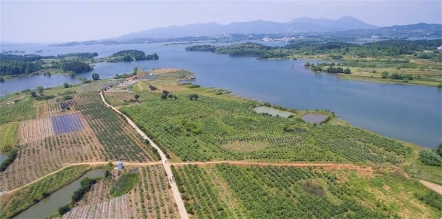 越變越美的鄉(xiāng)村景色。