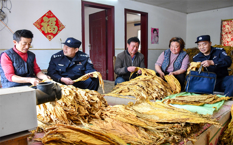 ?？倒柴v村工作隊民警幫煙農分類煙葉。