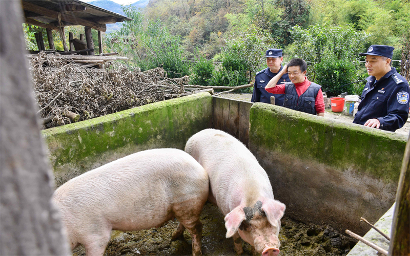 保康公安駐村工作隊民警入戶走訪養(yǎng)殖戶。