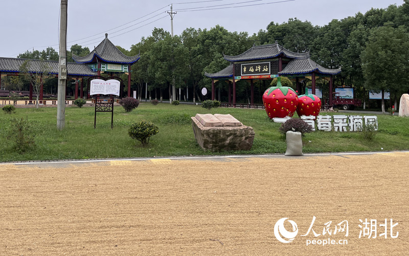 新崗村的幸福驛站。人民網(wǎng)記者 張雋攝