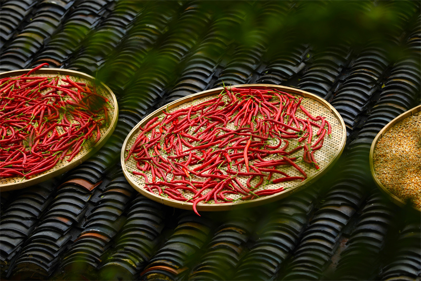 武漢黃陂:鄉(xiāng)村曬秋美