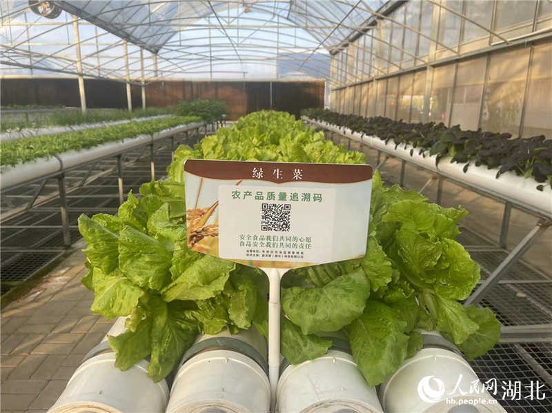 菜品信息可追溯。人民網(wǎng)記者 周倩文攝