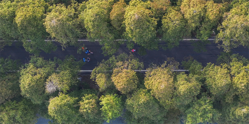 中國蝦谷·2023潛江返灣湖濕地馬拉松開跑。