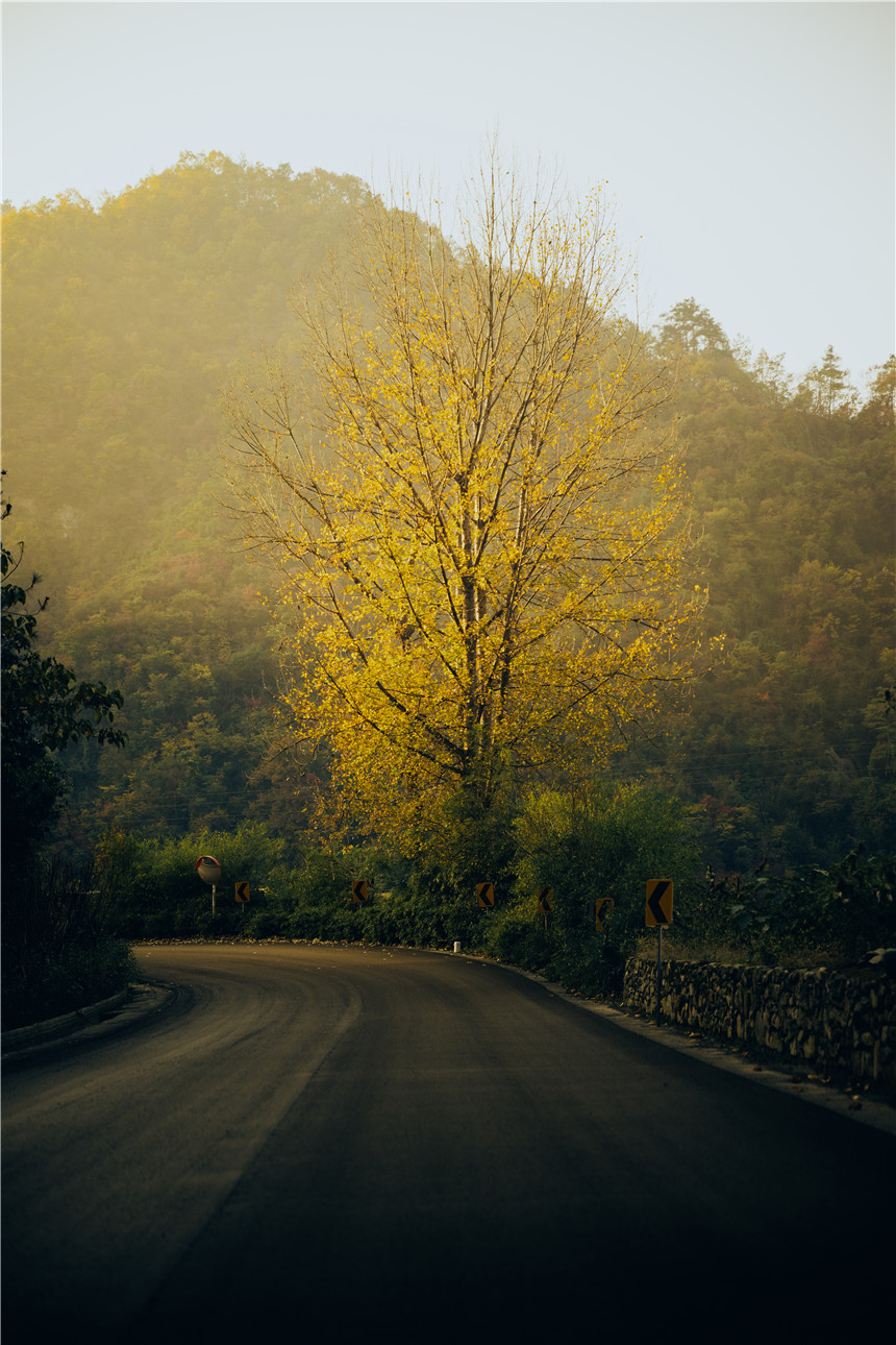 茅塔鄉(xiāng)沿線(xiàn)景觀(guān)