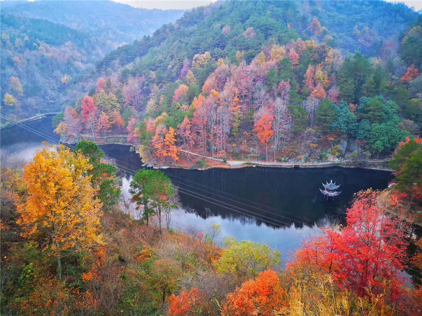湖北黃陂:十里紅葉“醉”游人【7】