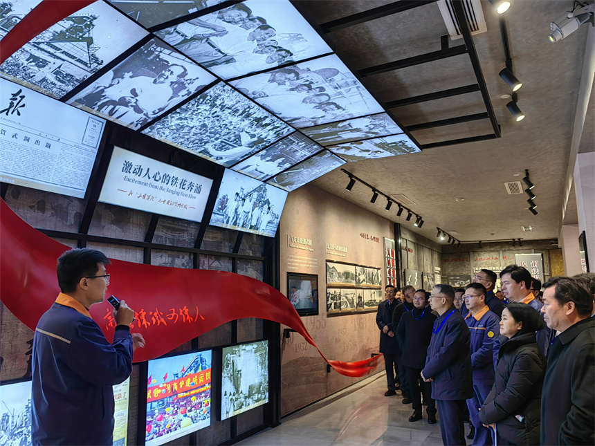 武漢推動主題教育走深走實(shí) 組團(tuán)調(diào)研“把脈問診”堵點(diǎn)難點(diǎn)