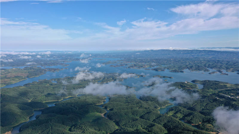 綠滿丹江口。涂大明攝