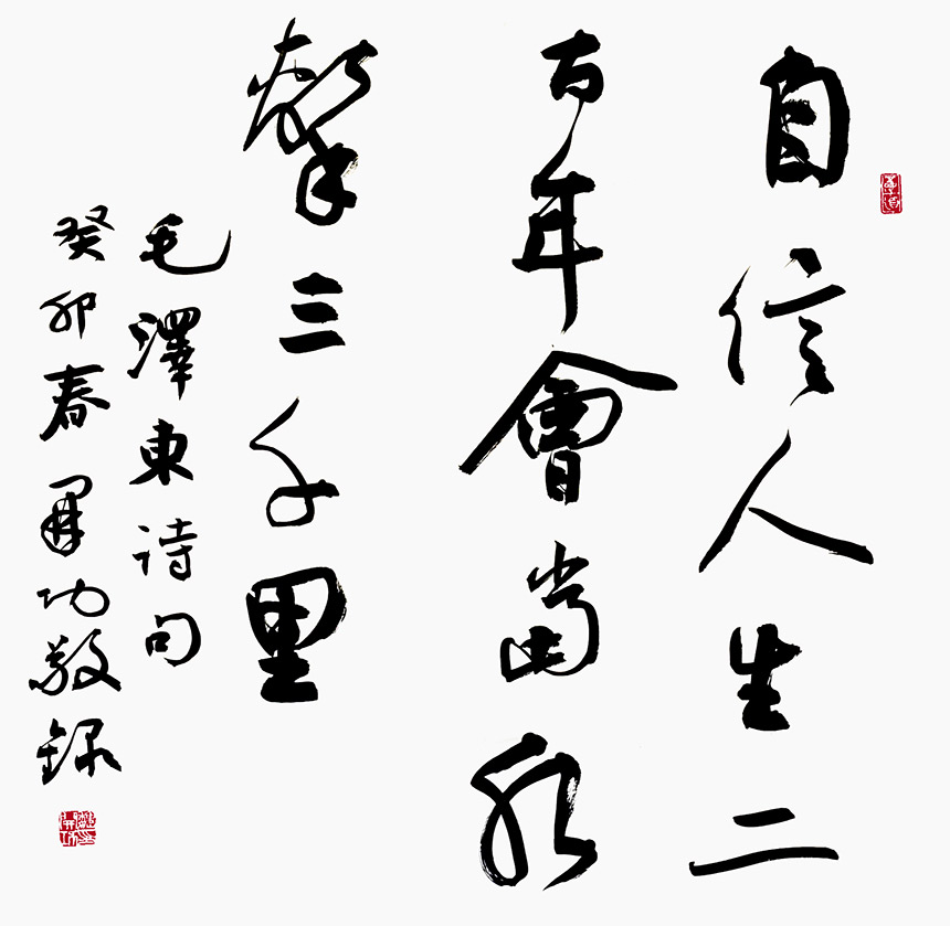 風(fēng)格獨具 奇肆開張——魏開功書法評彈【2】