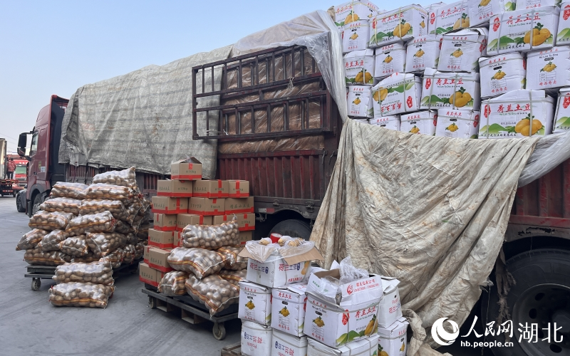 整車蔬菜整裝待發(fā)。人民網(wǎng)記者 張雋攝