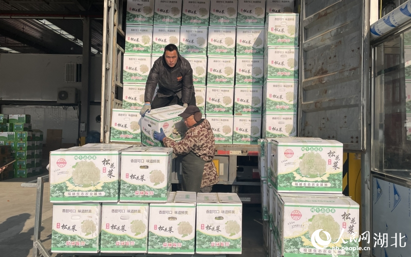 商戶正在裝卸蔬菜。人民網(wǎng)記者 周恬攝