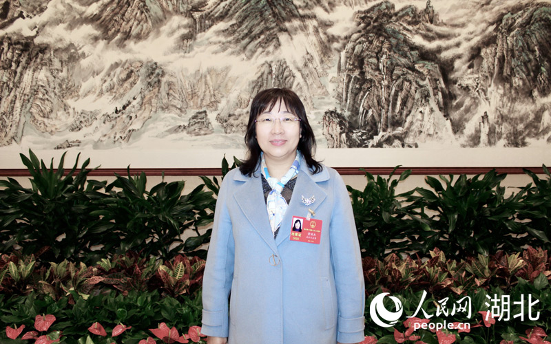 湖北省人大代表、武漢理工大學教授董麗杰。人民網(wǎng)記者 張沛攝