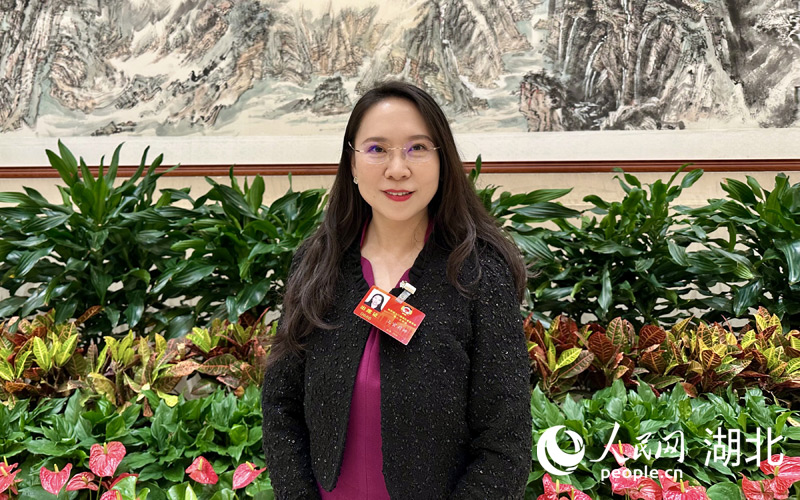 省政協(xié)委員、武漢大學政治與公共管理學院教授上官莉娜。人民網記者 郭婷婷攝