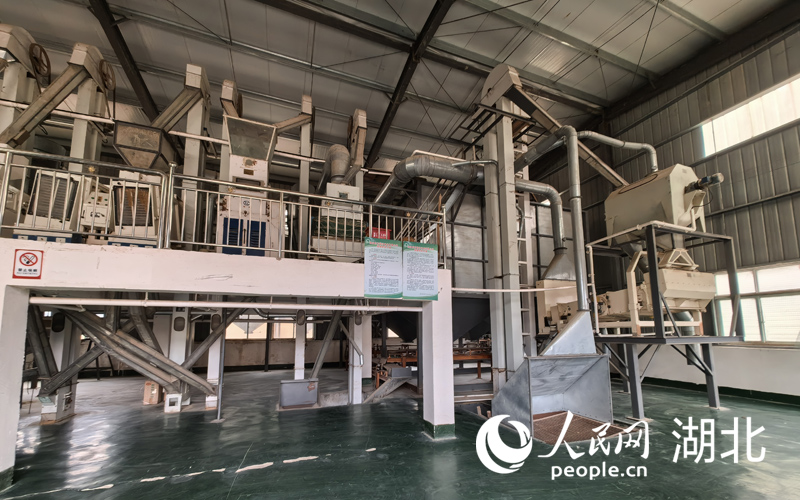 糧食加工車間。人民網(wǎng)記者 周雯攝