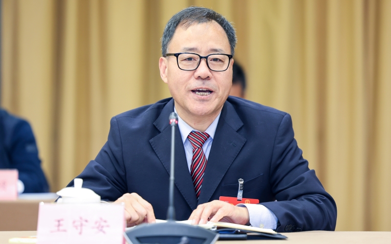 全國人大代表、湖北省人民檢察院黨組書記、檢察長王守安。陳跡攝