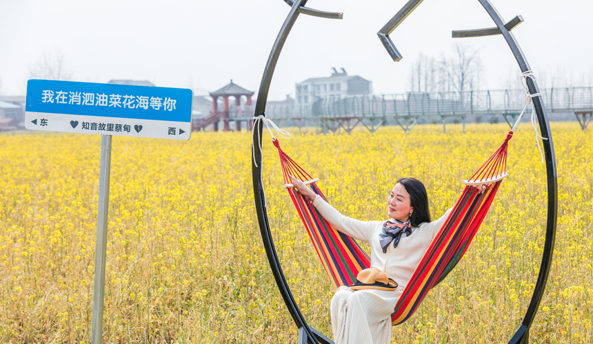 武漢蔡甸:知音故里油菜花節(jié)開幕 萬畝油菜花迎綻放