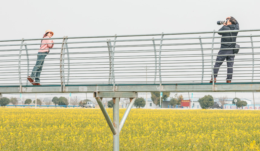 武漢蔡甸:知音故里油菜花節(jié)開幕 萬畝油菜花迎綻放【8】