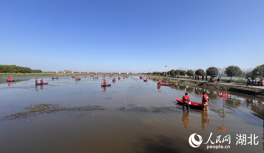 3月30日，在湖北省潛江市龍灣鎮(zhèn)瞄新村蝦稻共作基地，2024“潛江龍蝦”春捕開始。人民網記者 張雋攝