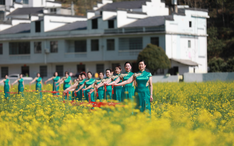 花海旗袍秀展現(xiàn)是女性之美。唐成攝