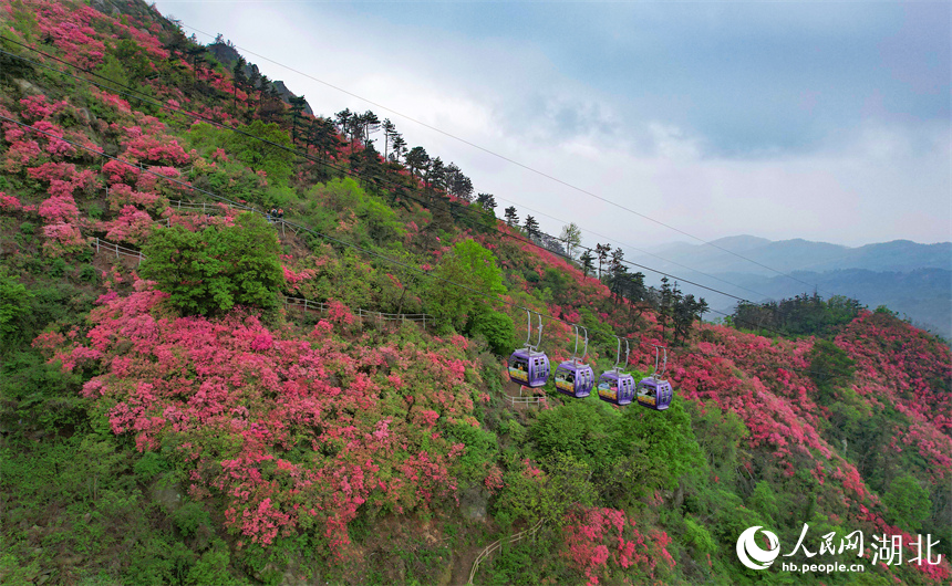 運(yùn)送乘客的纜車(chē)一刻不停。人民網(wǎng)記者 周倩文攝