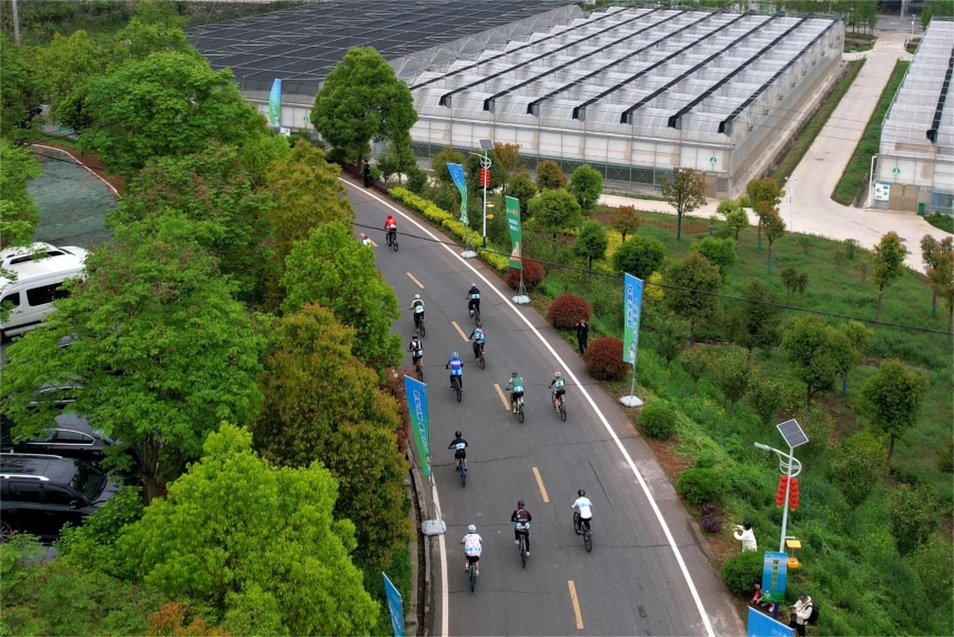 湖北竹山:200“騎士”茶園綠道上演繹速度與激情【2】