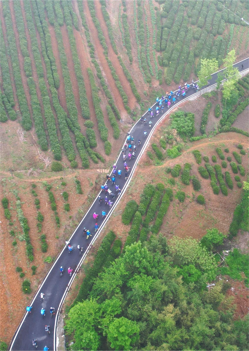 湖北竹山:200“騎士”茶園綠道上演繹速度與激情【4】