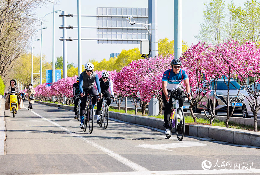 參加活動市民賞花騎行。王劭凱攝