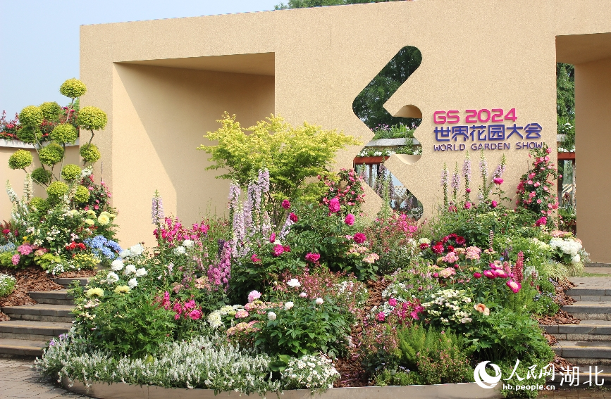 沙湖公園核心花卉主題展。人民網(wǎng)記者 張沛攝