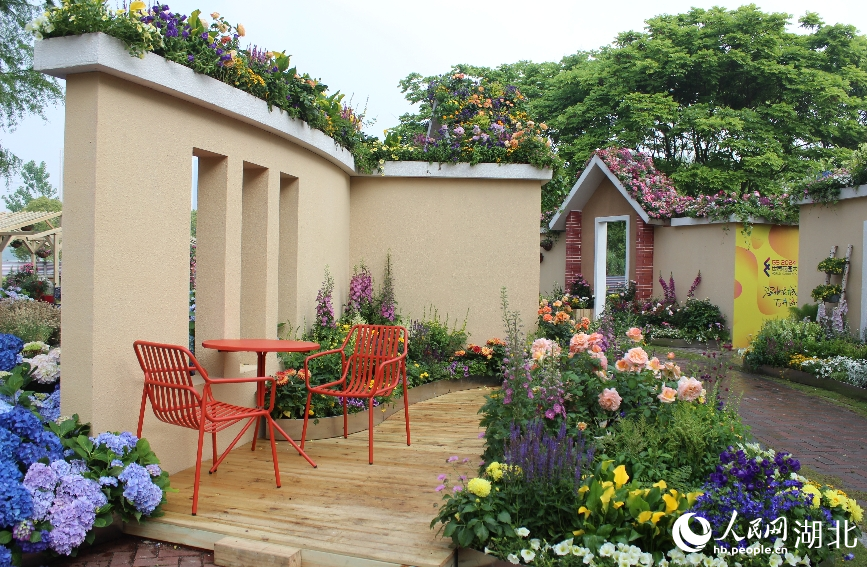 沙湖公園核心花卉主題展。人民網(wǎng)記者張沛攝
