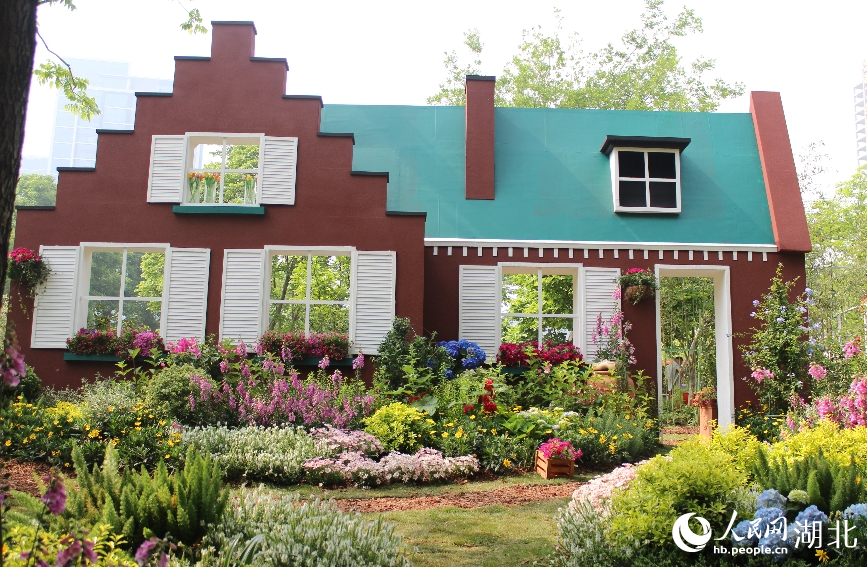 家庭園藝展區(qū)。人民網(wǎng)記者 張沛攝