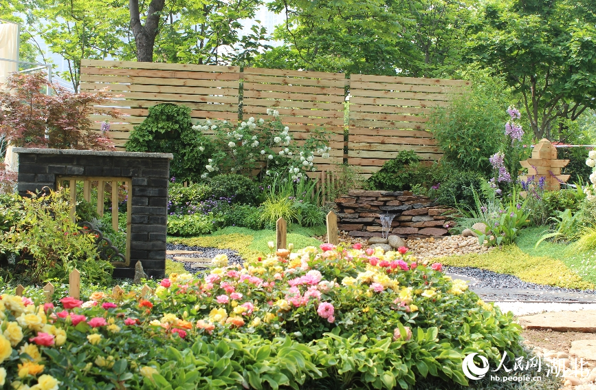 家庭園藝展區(qū)。人民網(wǎng)記者 張沛攝