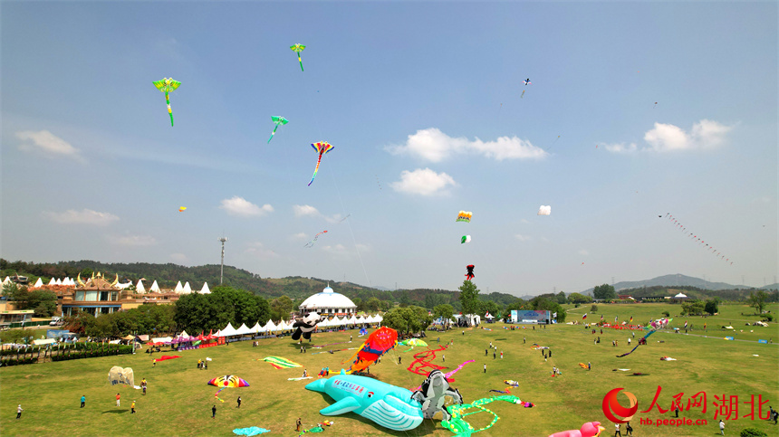 藍(lán)色鯨魚風(fēng)箏正在準(zhǔn)備起飛。人民網(wǎng)記者 周倩文攝