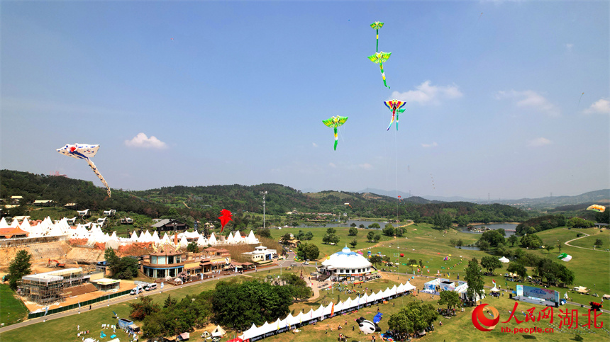 現(xiàn)場風(fēng)箏各式各樣。人民網(wǎng)記者 周倩文攝