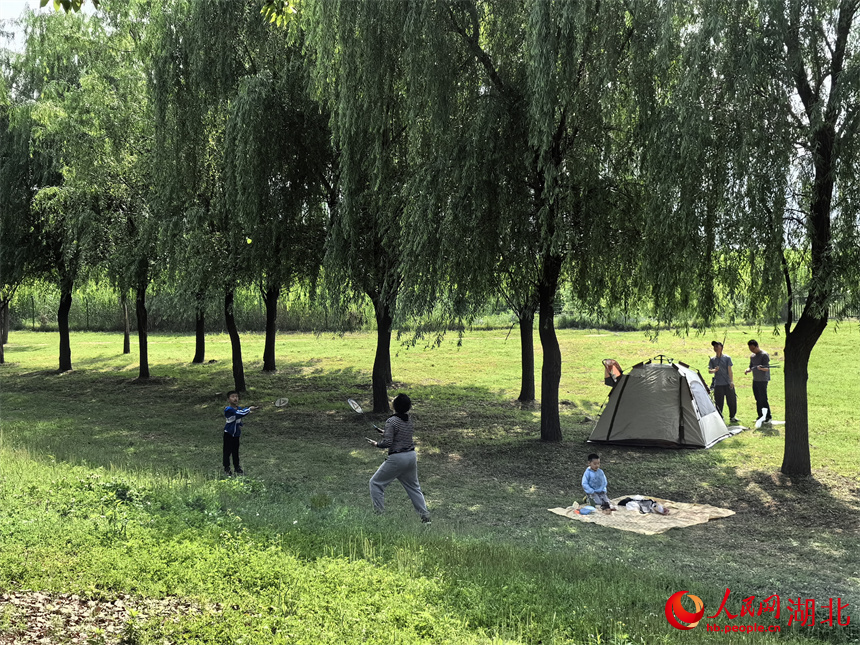 春光明媚，市民在武漢江灘邊的綠地露營、打羽毛球。人民網(wǎng)記者 周雯攝