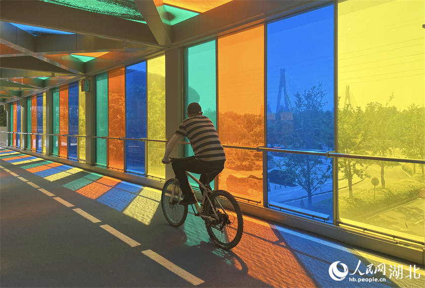 市民在武漢市余家頭附近的彩虹橋騎行。人民網(wǎng)記者 張雋攝