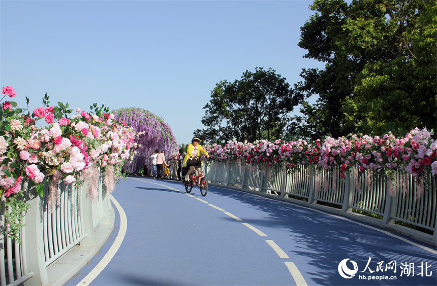 在武漢建設(shè)十路附近的紫藤花橋，市民順橋騎行而下。人民網(wǎng)記者 周恬攝