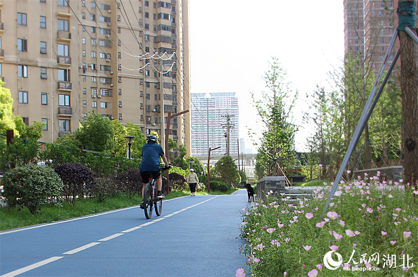 在武漢市余家頭附近，騎行長廊順著居民小區(qū)道路延伸，市民享受慢節(jié)奏生活。人民網(wǎng)記者 周恬攝