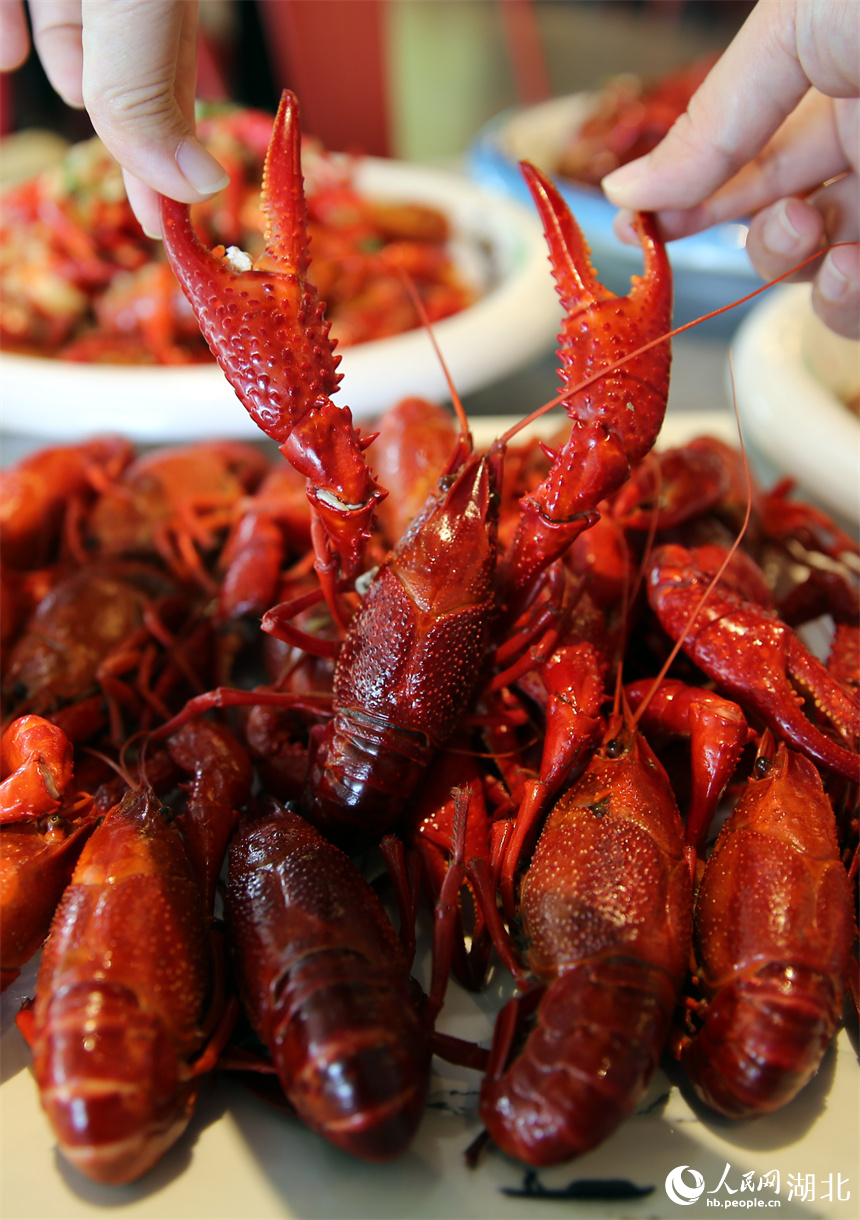 蝦尾飽滿(mǎn)、蝦鉗碩大的清蒸小龍蝦。人民網(wǎng)記者 周恬攝