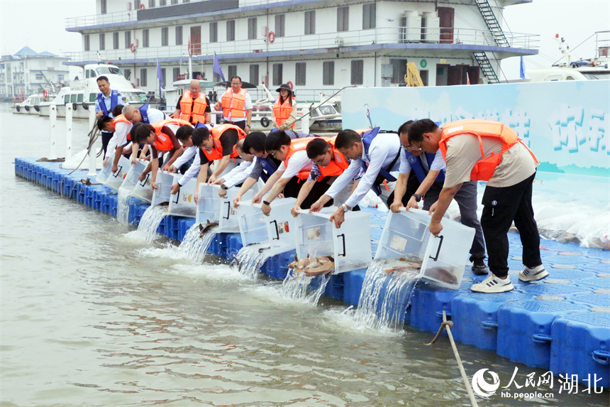 增殖放流活動(dòng)現(xiàn)場(chǎng)。人民網(wǎng)記者 王郭驥攝