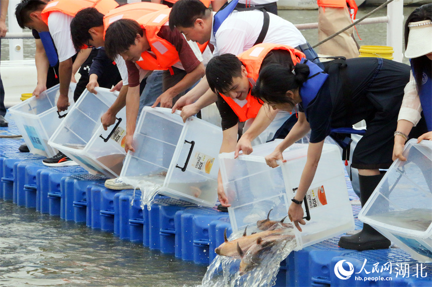 增殖放流活動現(xiàn)場。人民網(wǎng)記者 王郭驥攝