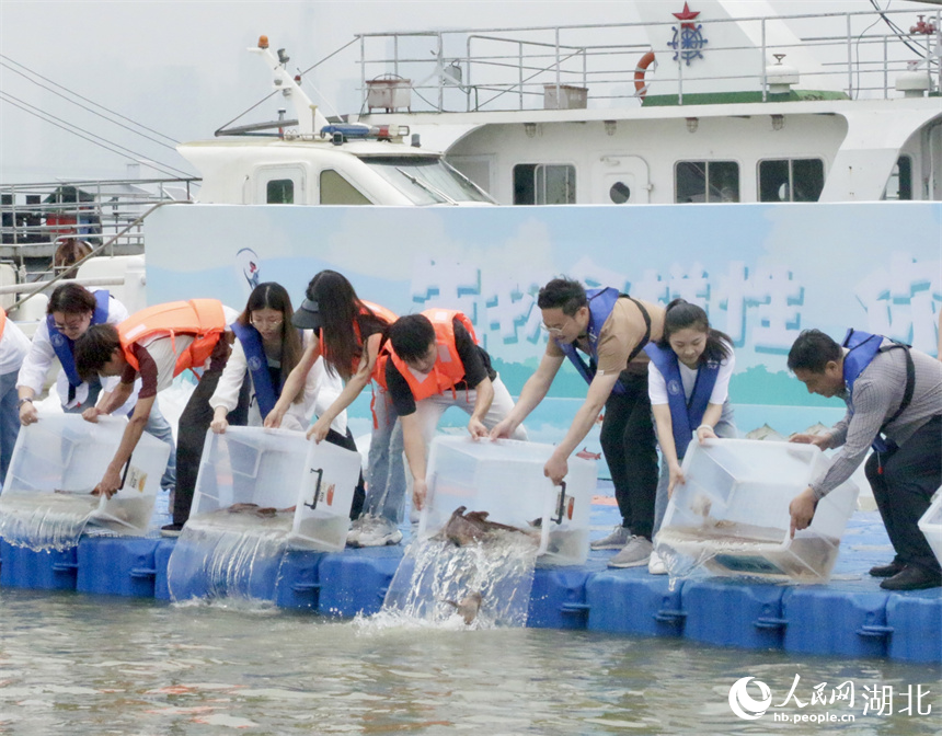 增殖放流活動現(xiàn)場。人民網(wǎng)記者 王郭驥攝