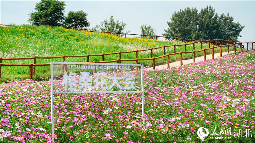 格?；ù髸?huì)。人民網(wǎng)記者 周倩文攝