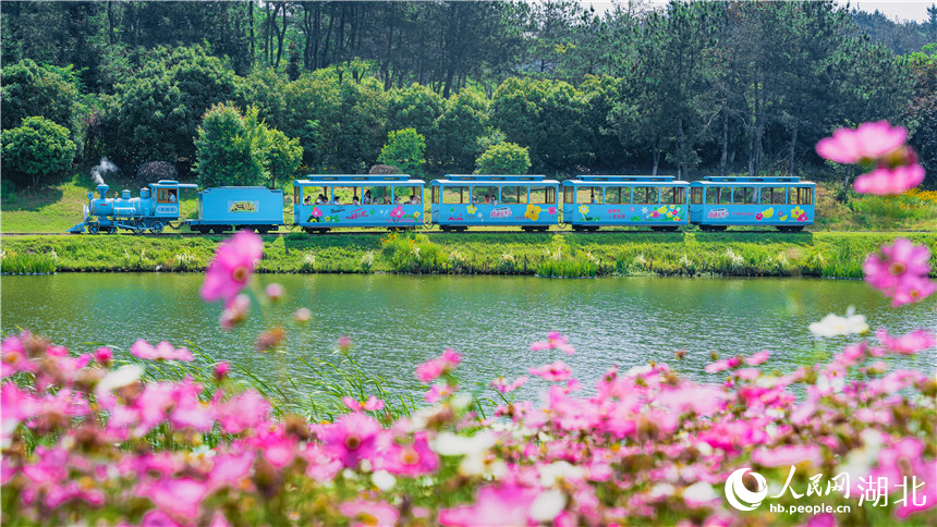 格?；ㄅ孕旭偟男』疖嚒Ｈ嗣窬W(wǎng)記者 周倩文攝