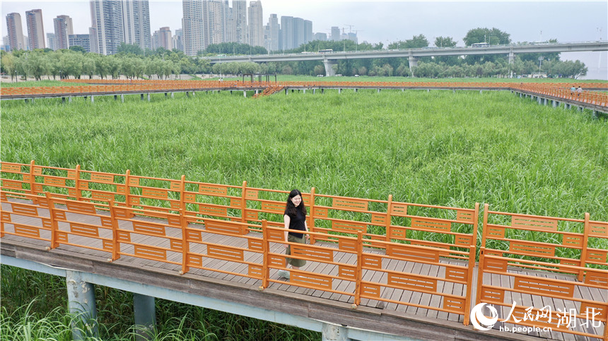 觀蘆棧道為市民游客提供更好的觀賞體驗(yàn)。人民網(wǎng)記者 王郭驥攝