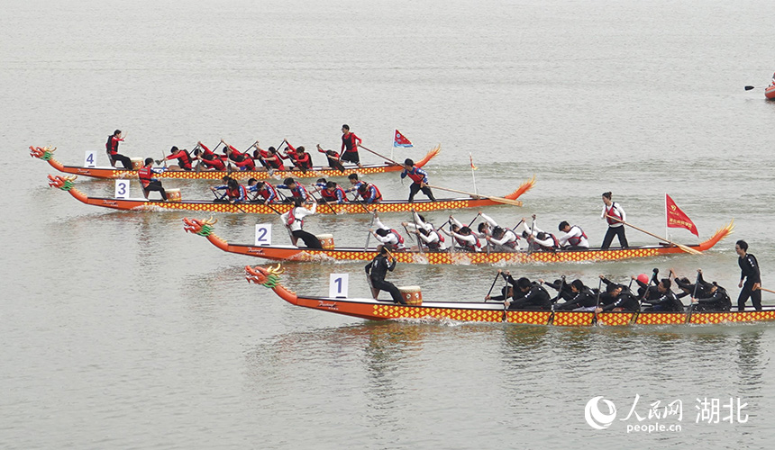 龍舟競(jìng)渡,揮槳逐浪。人民網(wǎng)記者 周雯攝