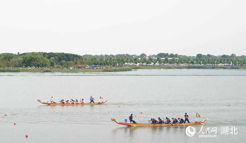 龍舟賽現場。人民網記者 周雯攝