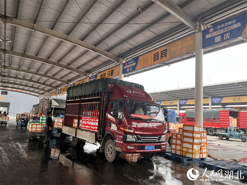 在湖北潛江小龍蝦交易中心，小龍蝦整裝待發(fā)。人民網(wǎng)記者 張雋攝