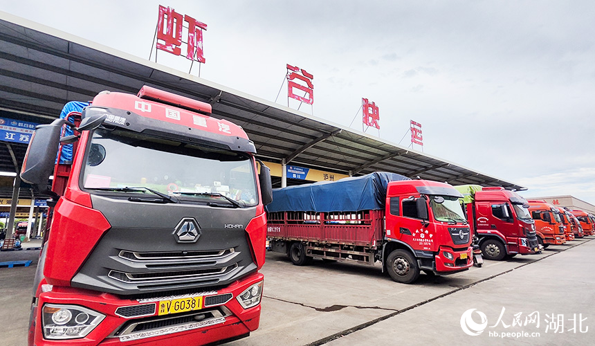 在湖北潛江小龍蝦交易中心，各地貨車(chē)整裝待發(fā)。人民網(wǎng)記者 王郭驥攝