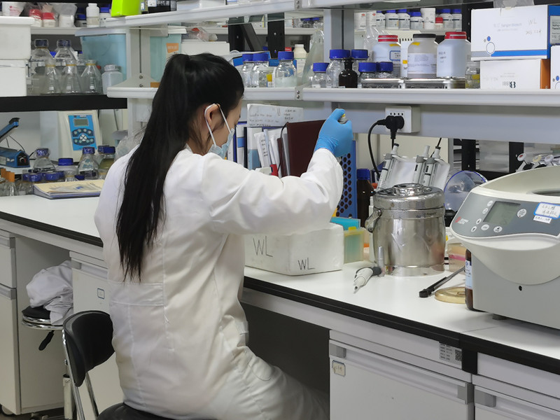 微藻生物學(xué)團(tuán)隊(duì)科研人員正在工作。李飛攝