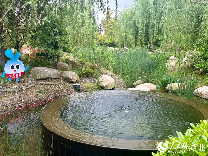 北湖污水處理廠利用再生水打造濕地景觀。人民網(wǎng)記者 張沛攝