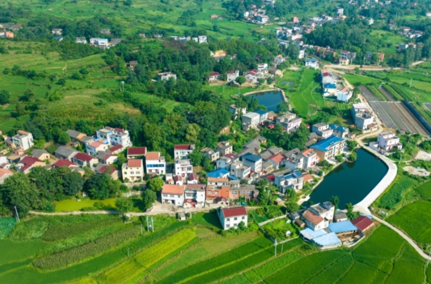 湖北孝感(大悟)黃茶積極布局西北市場(chǎng)【2】